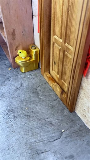 Tortoise bathing 😱| New Viral Gadgets,Smart Appliances, Kitchen Utensils/ Home Inventions