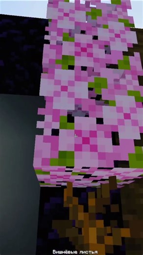 Minecraft nether portal skin #minecraft #shorts