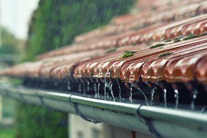 IBC Überlaufschutz – Regenwasser sicher und bequem sammeln und nutzen - REKUBIK® Magazin