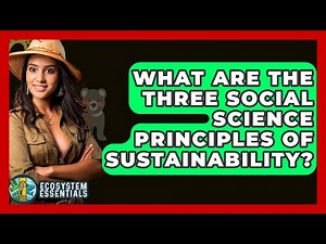 What Are The Three Social Science Principles Of Sustainability? - Ecosystem Essentials