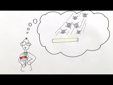 In Physics First, Light is Captured as Both Particle and Wave