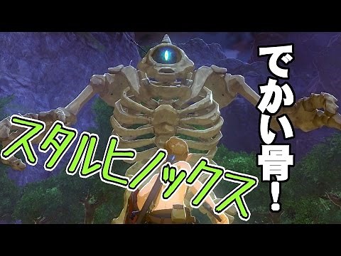 ☆14【ヒッコリ森のヒキコモリ】ゼルダの伝説ブレスオブザワイルドを優しく実況プレイ！