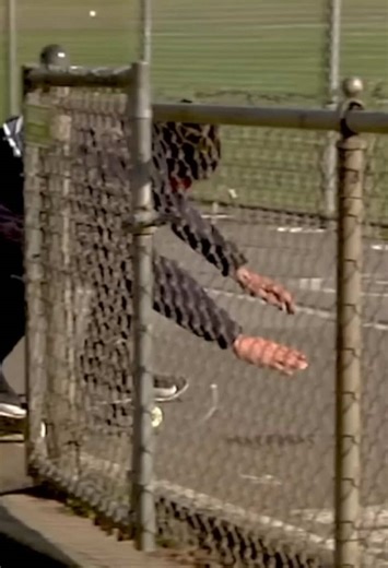 Skateboarding Adventures: The Journey Begins!