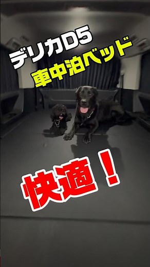 デリカD5カスタム【車中泊ベッド編】