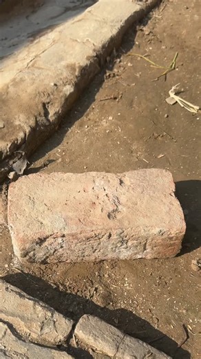 Hardware Tools on Instagram: "Magnetic Claw Hammer " High Performance Hardware Tools #shorts"