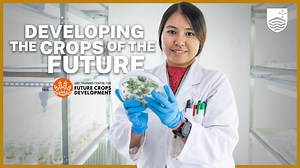 Scientists are working with farmers to develop the crops of the future