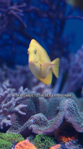 3.6K views · 73 reactions | Here at Seachem, we believe community is at the heart of everything we do. We love rolling up our sleeves and working side by side with our distributors. Sharing knowledge, building relationships, and supporting the passion that keeps the aquatics hobby thriving, one tank at a time﫧 | Seachem Laboratories, Inc | Facebook