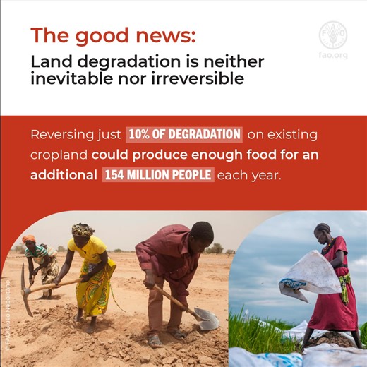 #LandDegradation threatens land's ability to sustain us. The good news: Reversing 10% of degraded cropland can produce food for an additional 154 million people. ▶️Learn how smarter policies & greener practices can turn agriculture into a force for land restoration. #SOFA2025 | Food and Agriculture Organization of the United Nations (FAO)