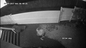 Watch: Chilling CCTV footage of nanny snatching baby