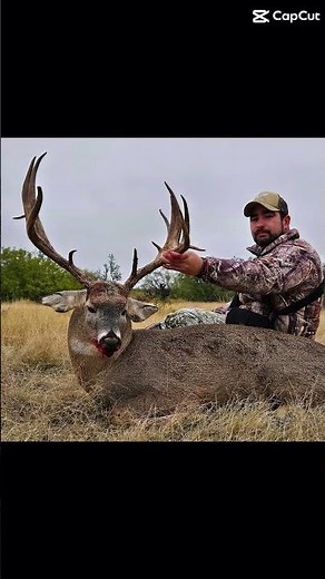 Rancho el coyote caceria de venado cola blanca guerrero coahuila México #deer #hunting #bucks