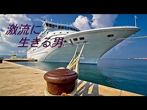 激流に生きる男(最後の出演映画) 赤木圭一郎～緑咲香澄～1967年：風に啼いてる 波止場の鴎・・・