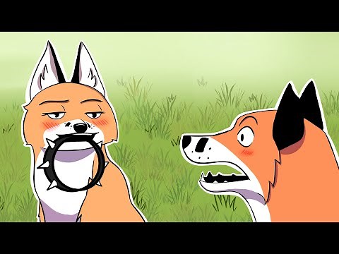 Adorable Animal Comics | Pet Foolery Comic Dub #1