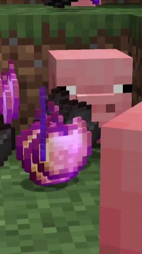 37K views · 1.6K reactions | Nos pasamos MINECRAFT solo con cerditos | DG Craft | Facebook