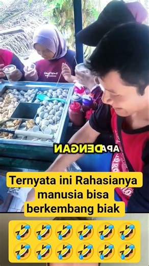 It turns out this is how humans reproduce