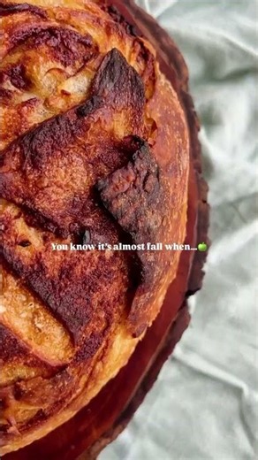 Apple Cinnamon Sourdough Bread