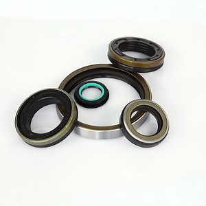 [Hot Item] Hydraulic Pump High Temperature High Pressure Oil Seal Tcv/Tcn for Hydraulic Pump