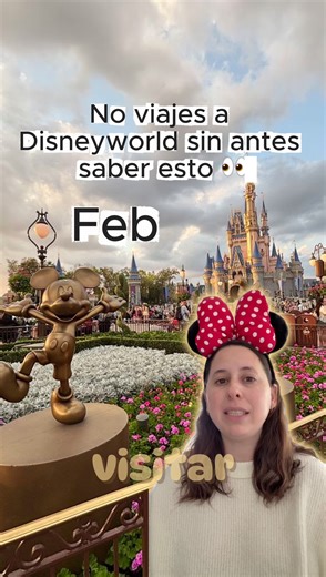 Recomendaciones para viajar a Disneyworld en febrero