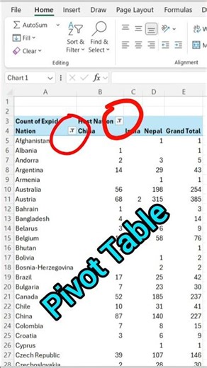 Excel - PivotTable & PivotChart #excel #work #automation #college #data #hr #exceltips