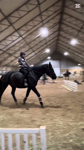 I don’t rlly have much to post from this lesson but I think I’ll make some edits here and there