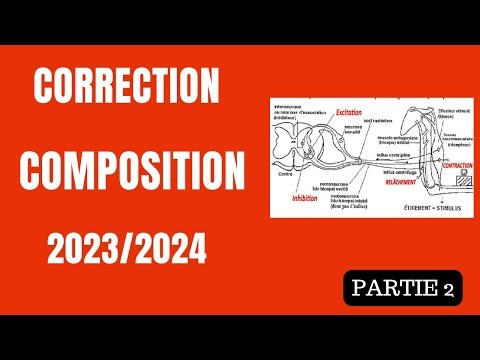 Quel est le circuit nerveux du réflexe myotatique?