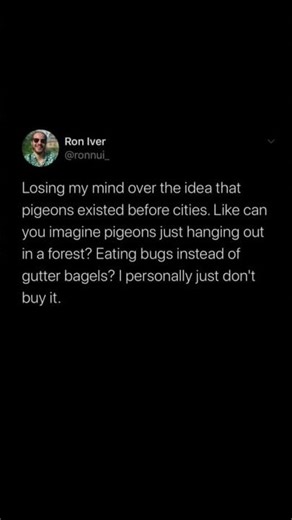 pigeons before cities? mind blown | Subscribe for more #motivation 😊👍