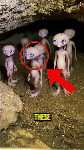 Top 4 Creepiest Creatures Living in Caves #CaveCreatures #CreepyAnimals #DarkNature