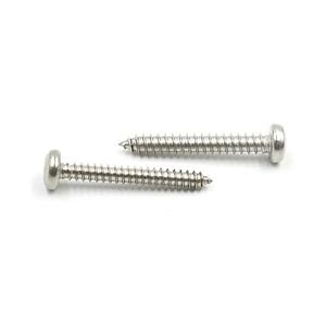 [Hot Item] Economical Custom Design Stainless Steel Carbon Steel Fasteners Self Tapping Screw