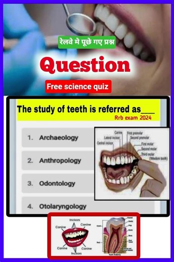 😵दांतों की स्टडी को क्या कहते हैं ll Study OF teeth is called #trendingreels #studyofteeth #shorts