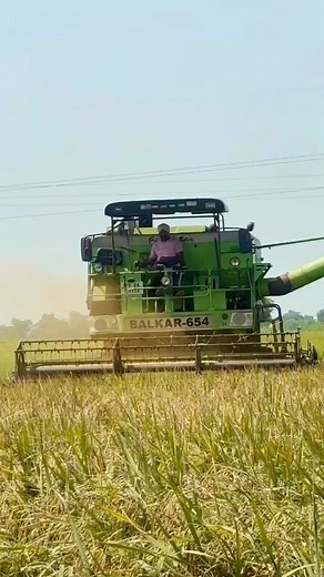 Balkar 654 self Combine Harvester performing excellent | Harvesters Combines