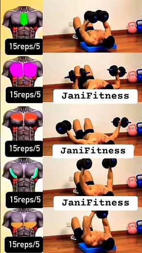 Build a Bigger Chest at Home with Dumbbells 💪 #dumbbells #chestworkout