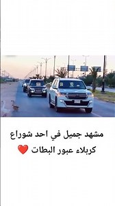 عبور البطات ❤