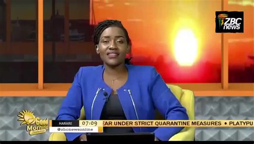 TAZI Advocates for Twins and multiple births welfare issues