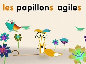 Les accords de l'adjectif qualificatif au pluriel | Lumni Enseignement