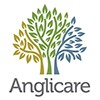 Cyber Controls Analyst