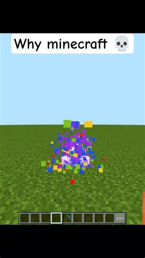 Why minecraft 💀 #minecraft #shorts #minecraftlogic