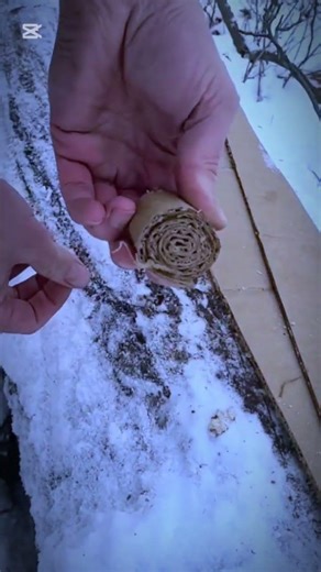 Cook food in wintertime #camping #campfire #outdoors #campping #diy #campfiremagic #survival #how