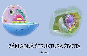 Rastlinná a živočíšna bunka - Výnimočné školy - Učíme sa spolu online