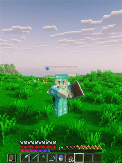 Minecraft Chill Game: Explore the Nether Dimension