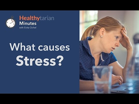 Stressors and Common Causes of Stress (Healthytarian Minutes ep. 1)