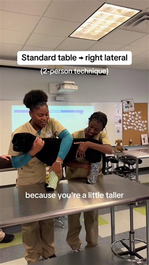 Patient positioning and restraint (part one) 🐾 Our Veterinary Assisting students are practicing how to safely move a patient from standard table restraint into right lateral recumbency. Make sure to follow because we are posting part two tomorrow, showing how to safely return the patient back to standard table. 👀 Explore how HCI can help you begin your journey in animal healthcare at the link in our bio. 📲