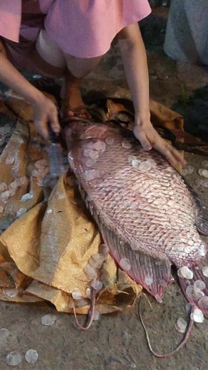How to Clean and Prepare a Large Fish