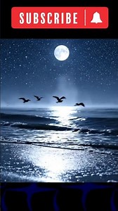 ASMR Sleep Ocean Waves at Night #asmrsleep#oceanwaves#asmr