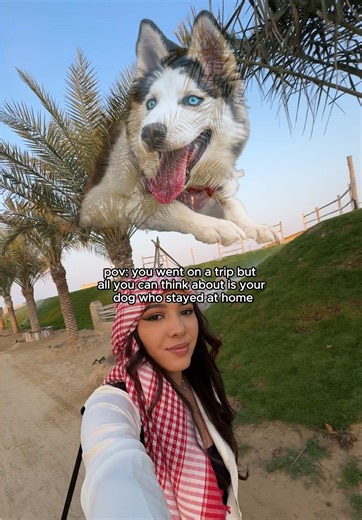 Traveling the world but mentally checking my dog cam every 5 minutes 😅 Be honest… are you the same? #dogmom #doglife #petsoftiktok #funnymoment