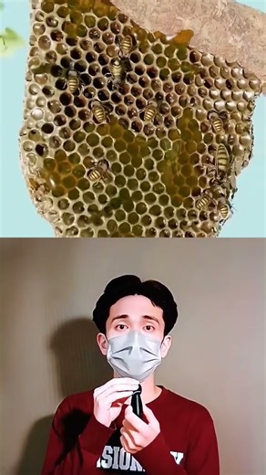 Queen’s Justice #shorts