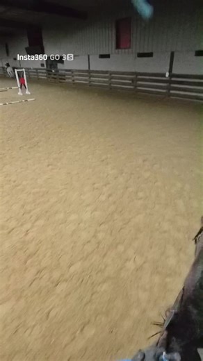 Choosing the Right Hunter Jumper Every Time