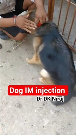 GSD Intramuscular Injection #drdkniraj