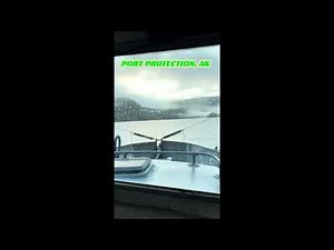 Port Protection: It's all about them Springs