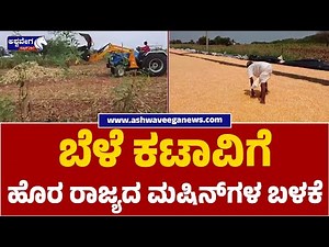 Maize Harvest Machines Trigger Job Crisis | ಬೆಳೆ ಕಟಾವಿಗೆ ಹೊರ ರಾಜ್ಯದ ಮಷಿನ್‌ಗಳ ಬಳಕೆ