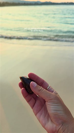 Cowrie island @SaltyySage | northern sea