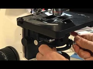 Koehler Illumination Microscope